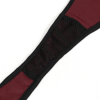 Wine Red Velvet Pentagram Bikini – Alternative Style Swimwear